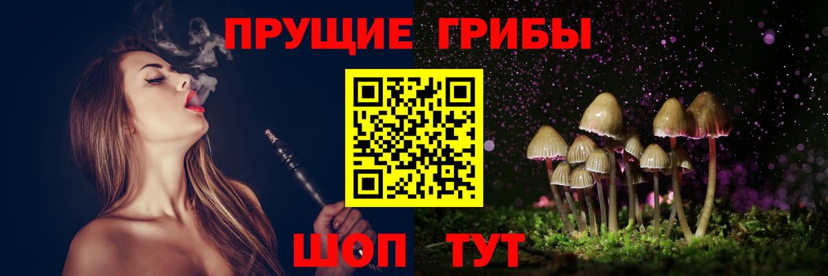 Галлюциногенные грибы прущие грибы  Псилоцибиновые грибы мицелий  Сухой Лог  Вход с VPN 